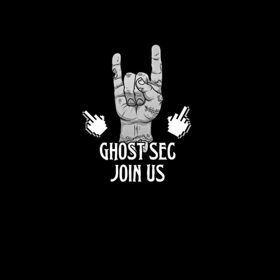 Vigilante Hackers on a Cyber Crusade