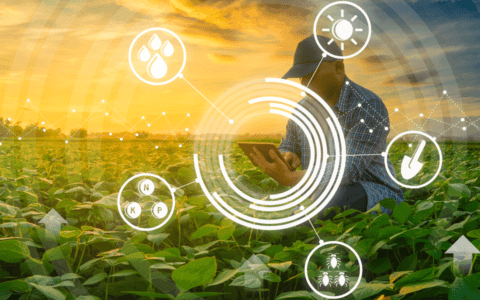 How a Leading North American Grower Increased Forecast Accuracy by 30% and Reduced Harvest Waste by 20%